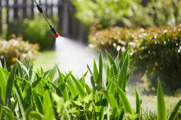 24/7 Emergency Mosquito Control experts in Hines, OR