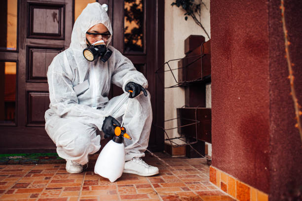 Reliable Mosquito Control contractor in Hines, OR by Show Me Pest Control